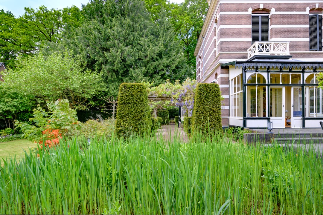 Photo 53 of Burgemeester de Wijslaan 6