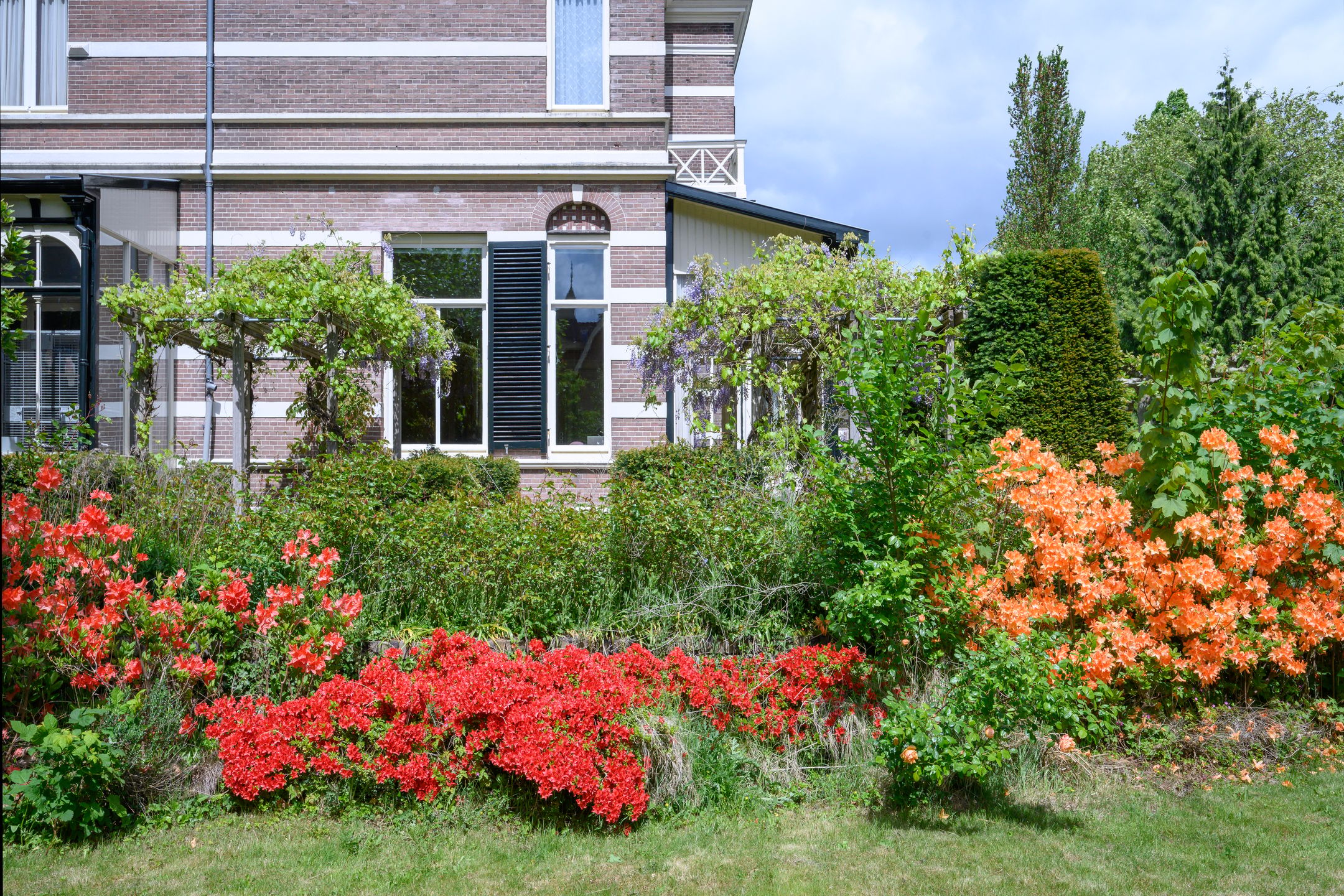 Photo 48 of Burgemeester de Wijslaan 6