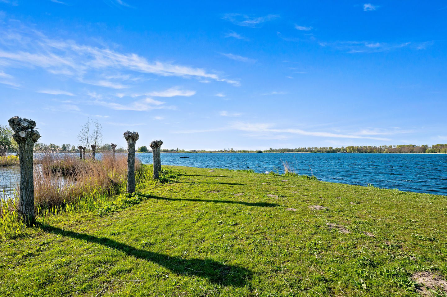 Photo 50 of Buizerdveld 209