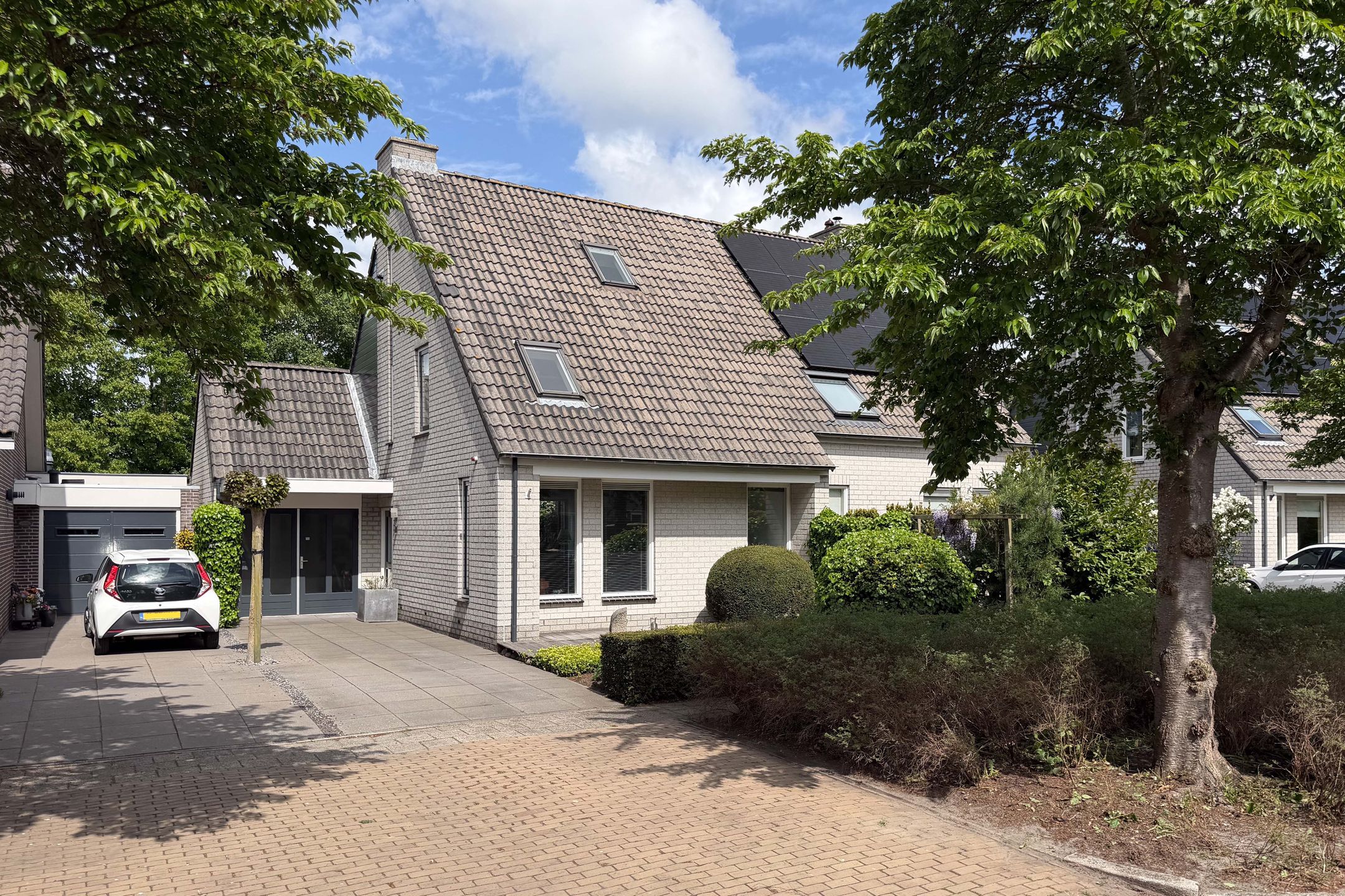 De Waard 7 