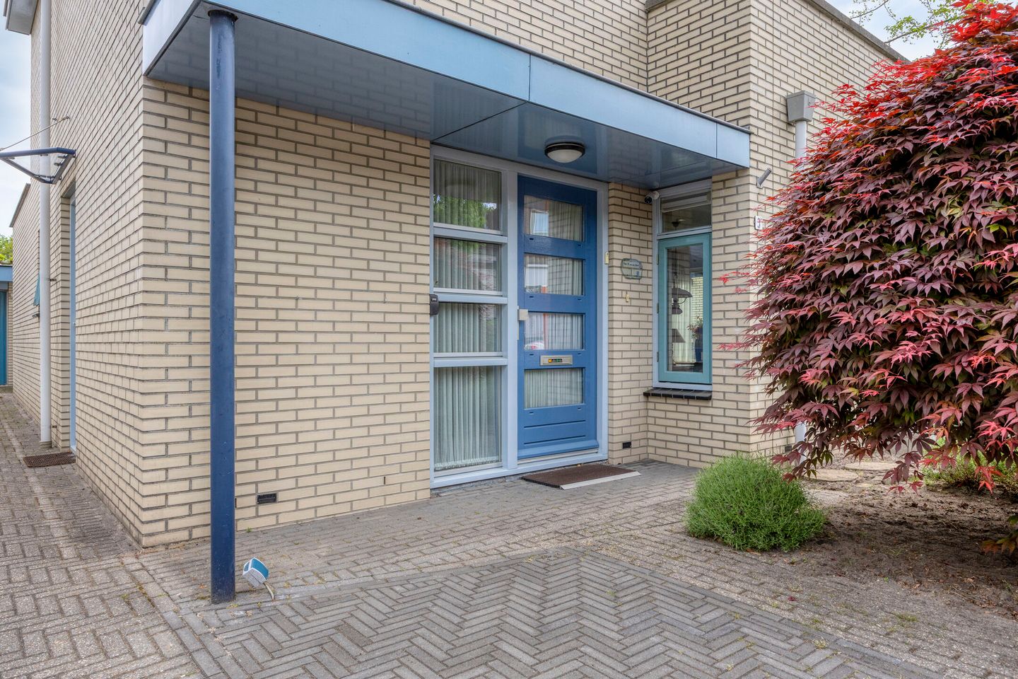 Foto 5 van Vliegezwam 3