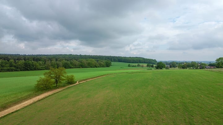Photo 3 of Bosweg 6