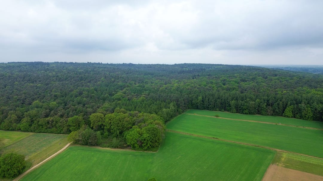 Photo 71 of Bosweg 6