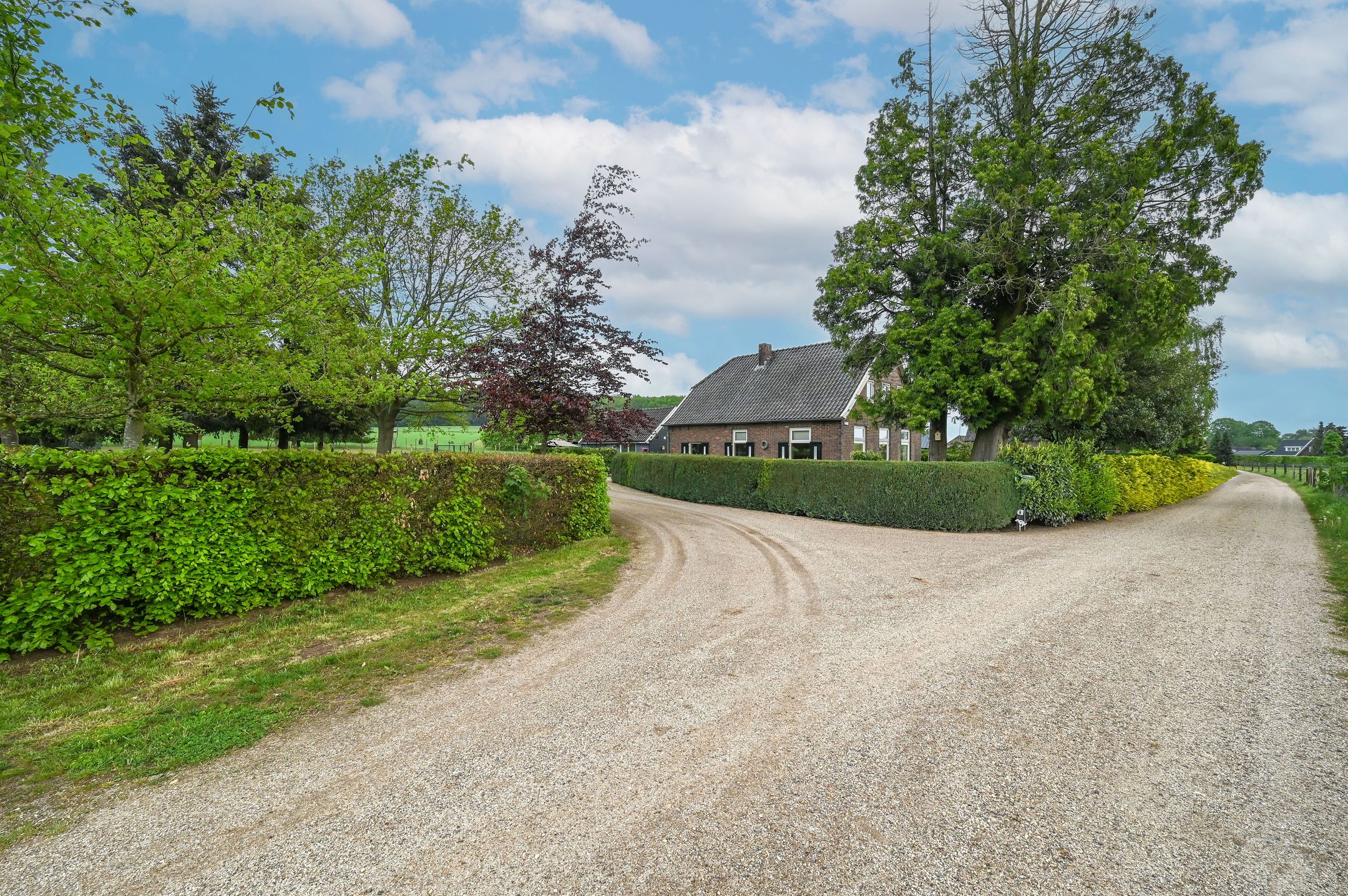 Photo 60 of Bosweg 6