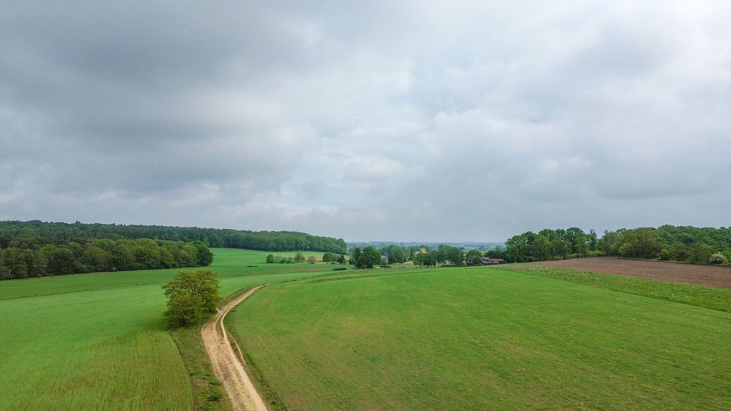 Photo 74 of Bosweg 6