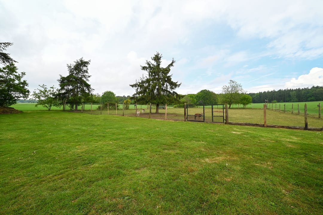 Photo 47 of Bosweg 6