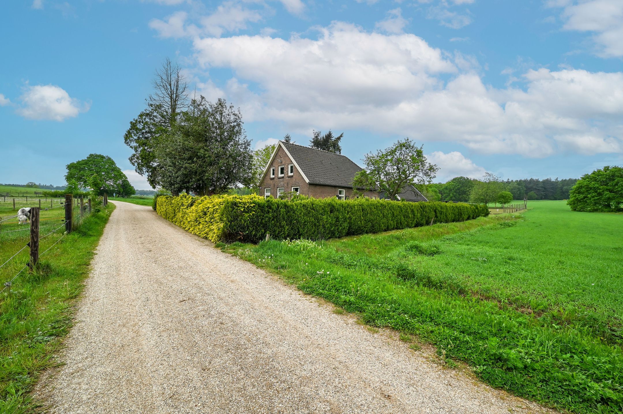 Photo 63 of Bosweg 6