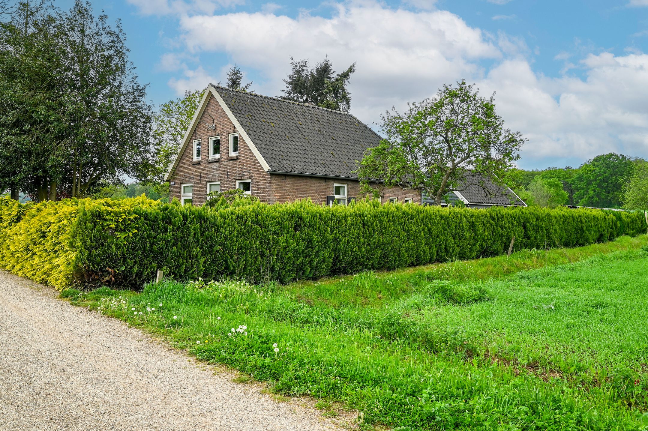 Photo 69 of Bosweg 6