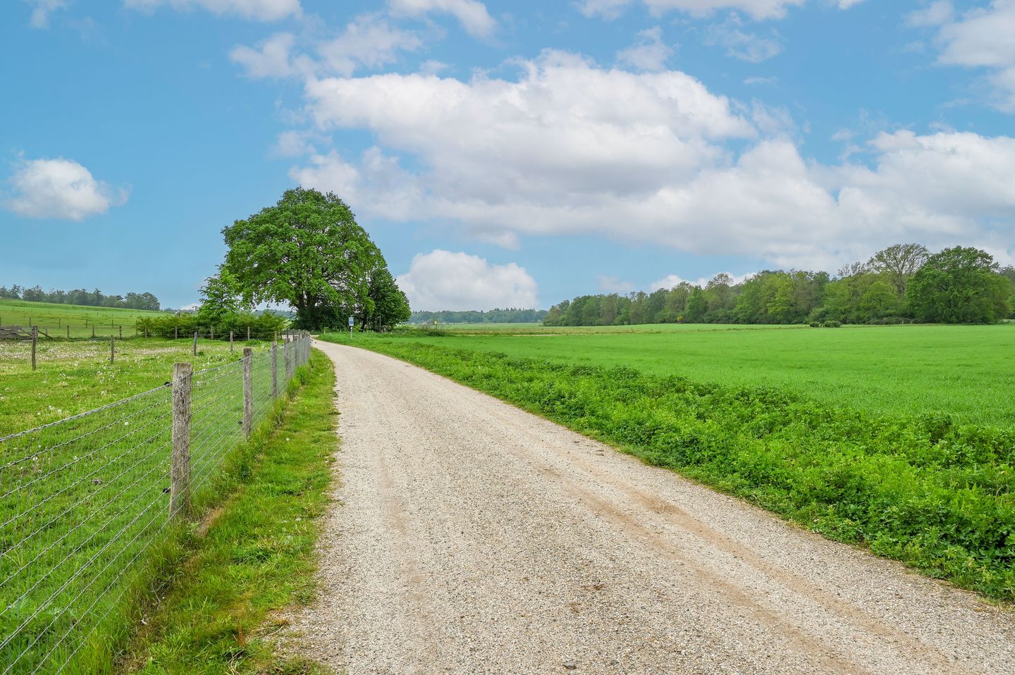 Photo 65 of Bosweg 6