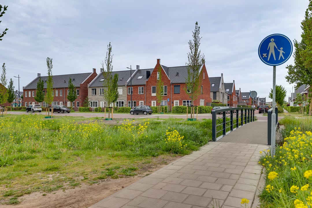 Foto 7 van Wadloper 6