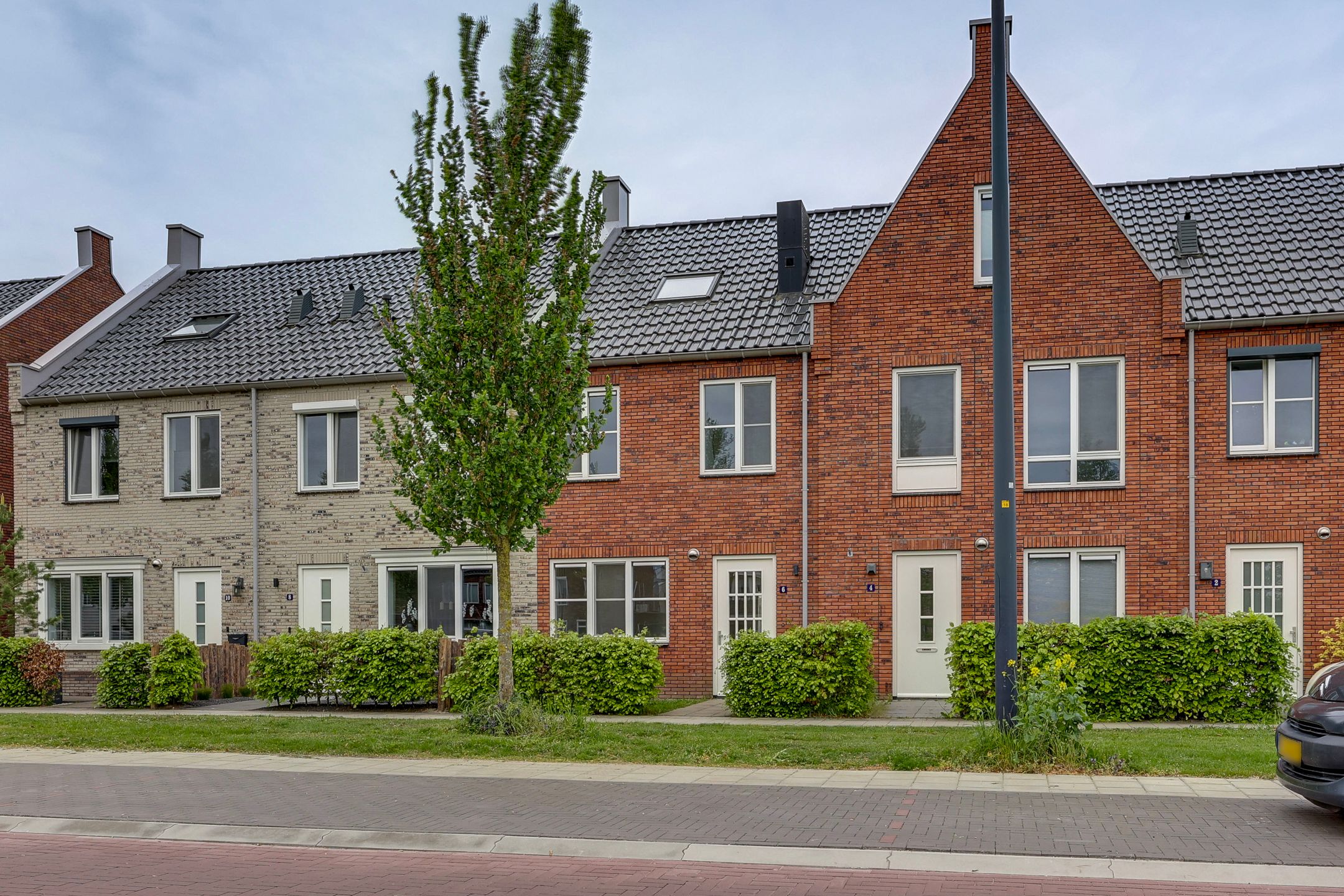 Foto 6 van Wadloper 6