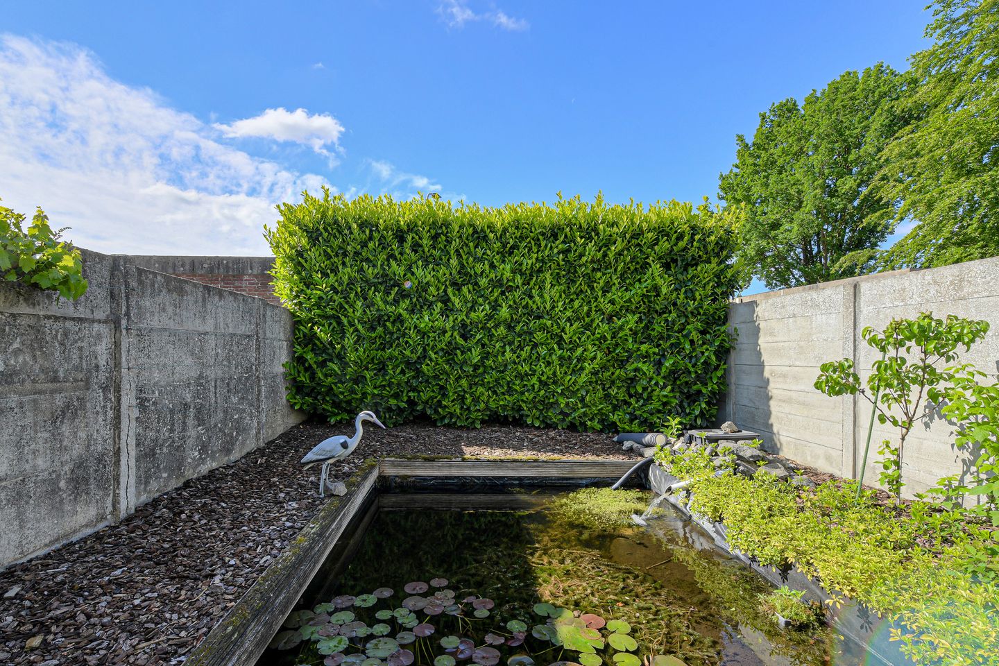Photo 35 of Poolseweg 154