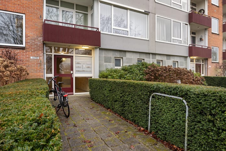 Foto 5 van Moeflonstraat 83