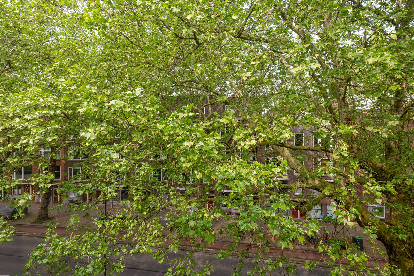 Photo 20 of Van Cittersstraat 36-B