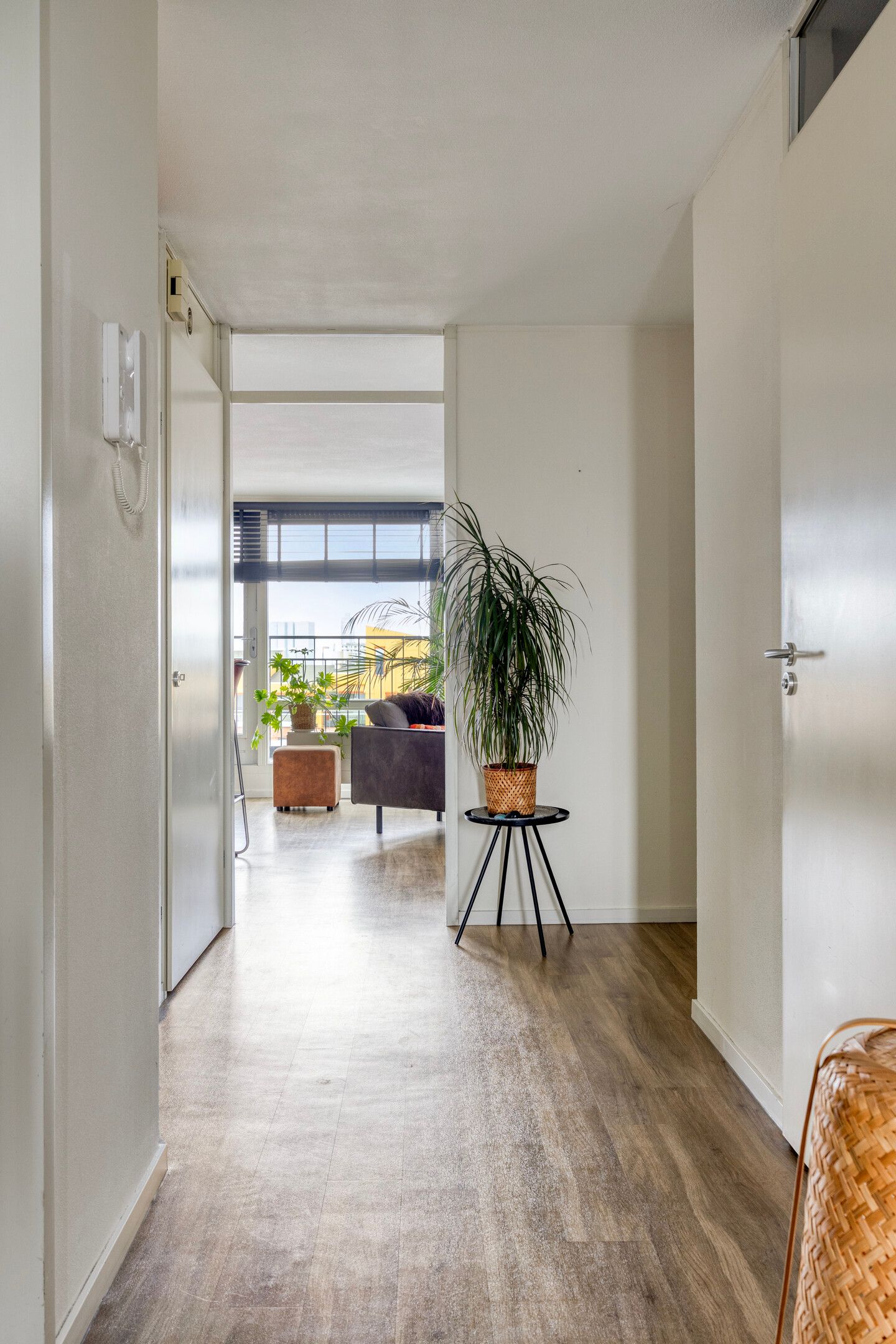 Photo 9 of Adriaan Kooningsstraat 256