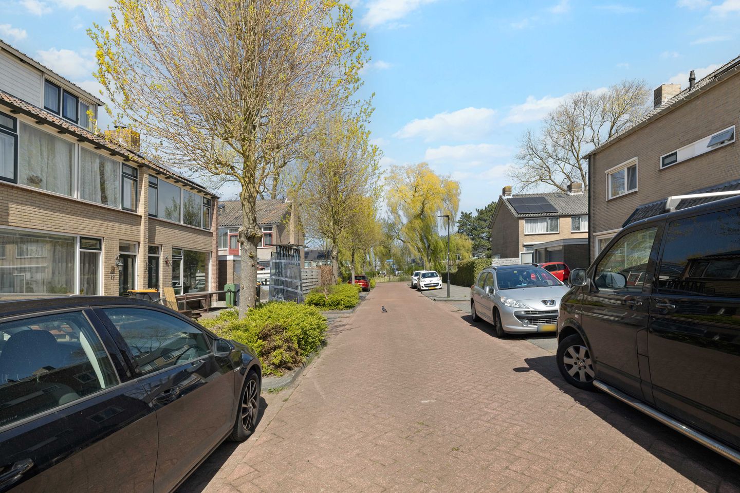 Foto 4 van Paulus Potterstraat 15