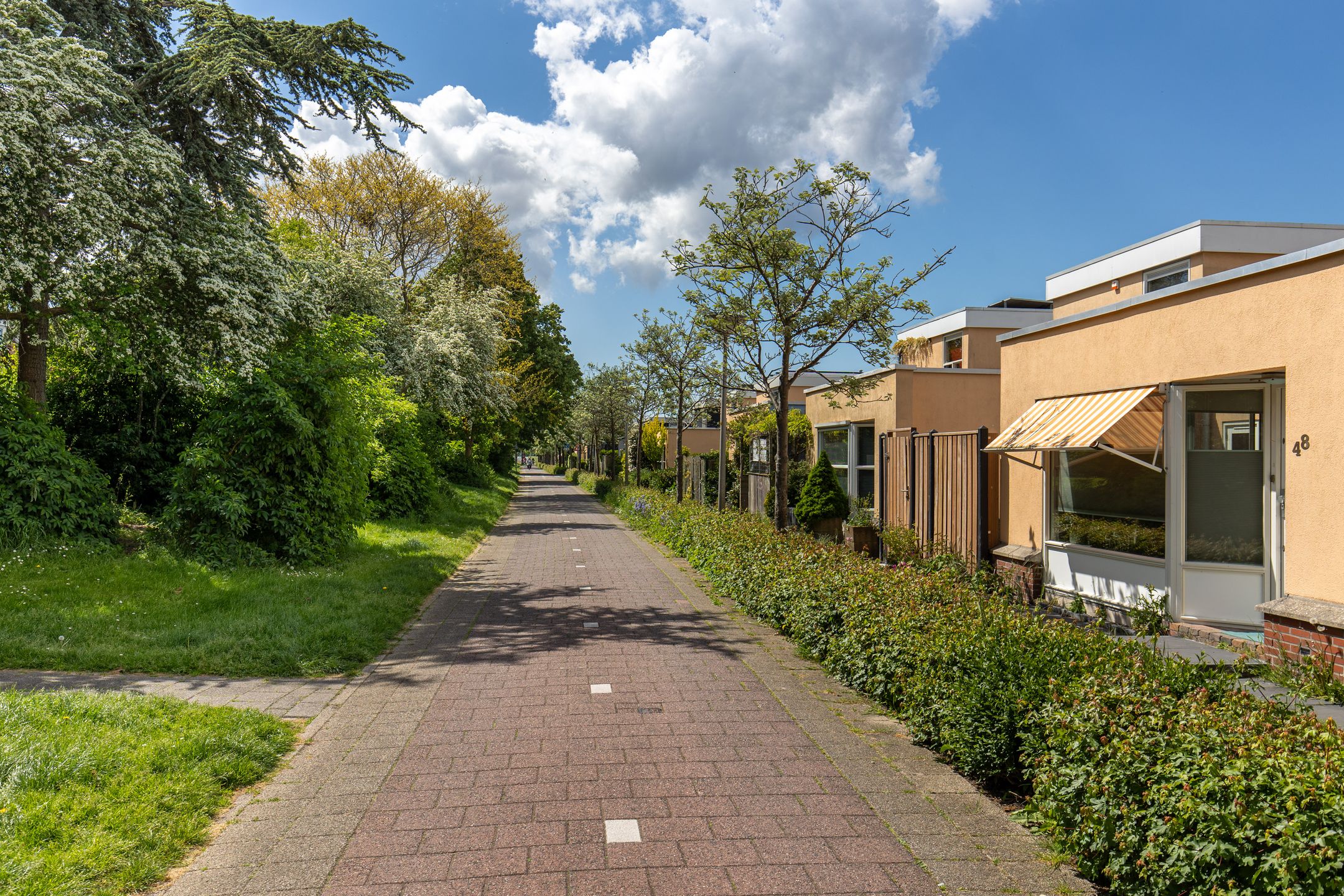 Photo 30 of Zwanebloembocht 199