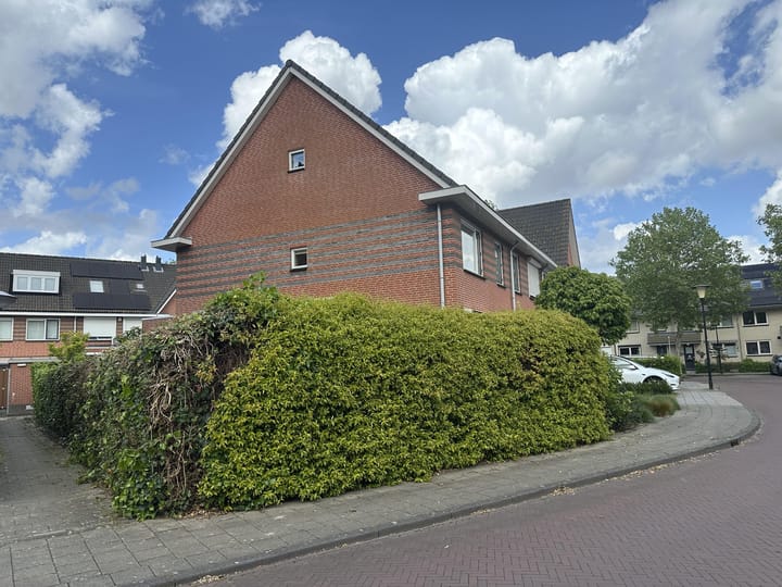 Foto 2 van Rozenhout 7