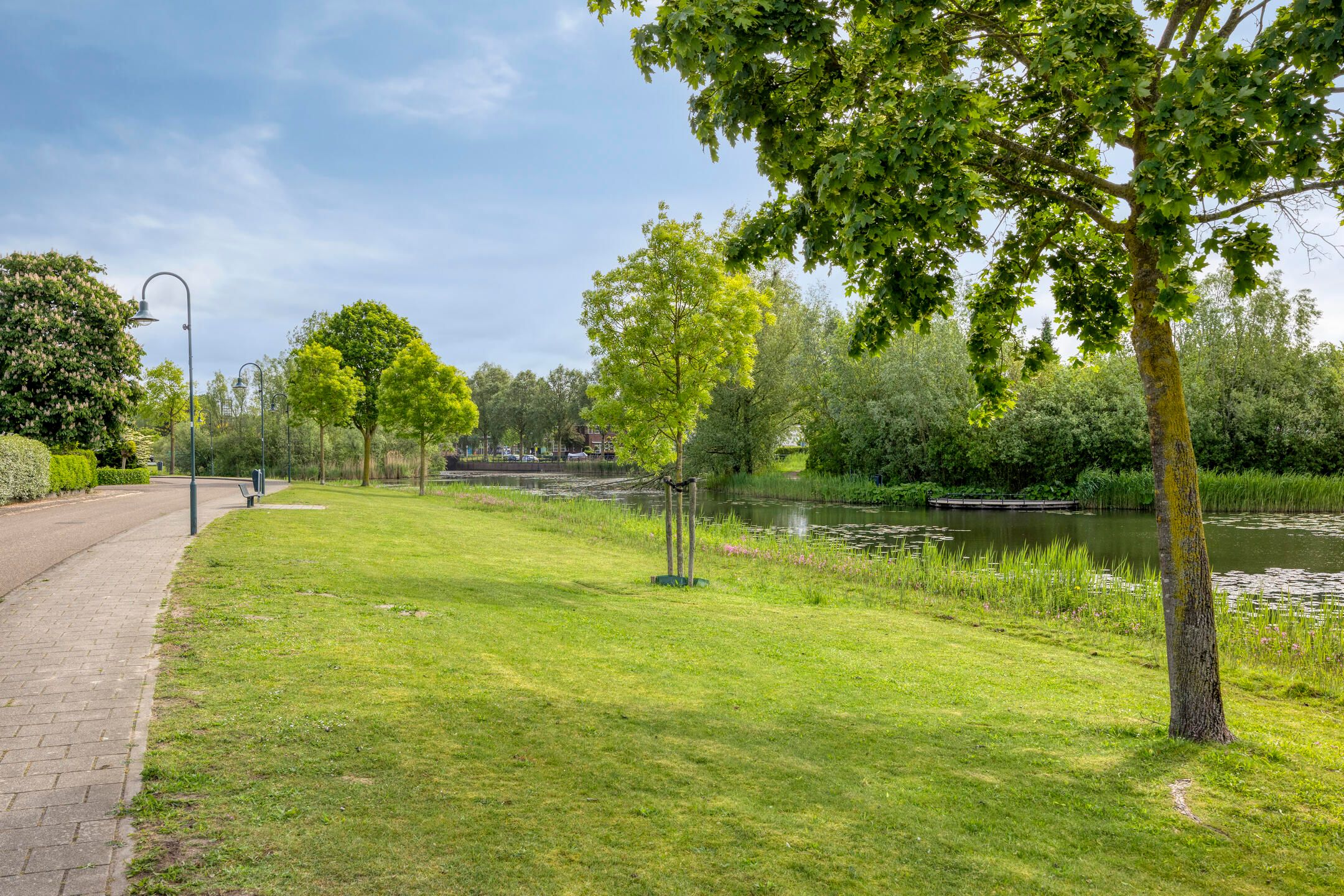 Foto 45 van Malaxisbeek 8