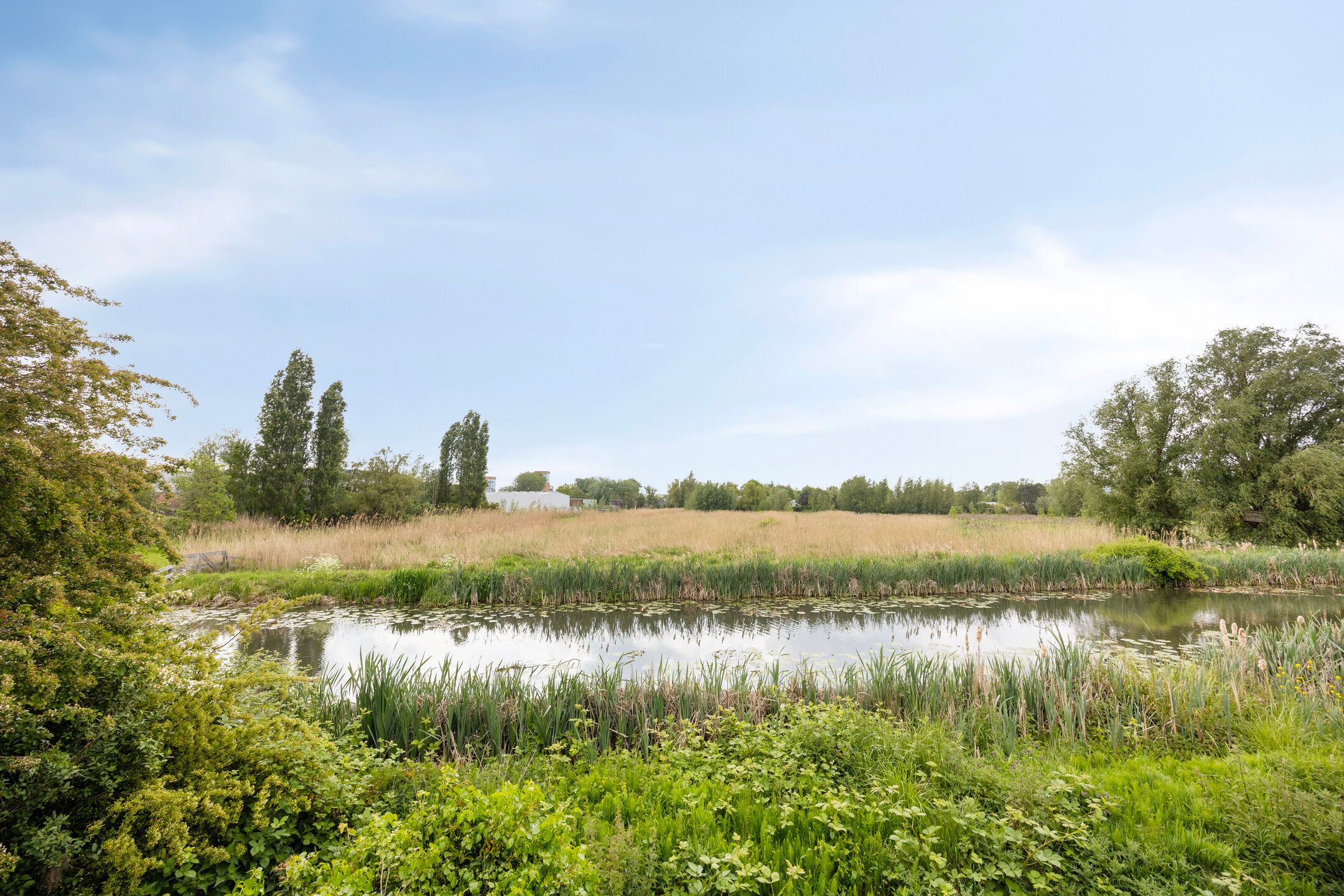 Photo 33 of Bermweg 298