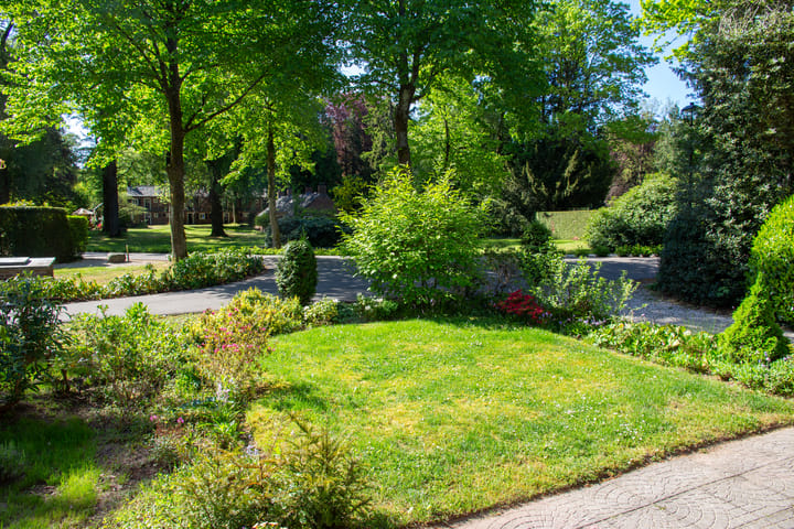 Foto 4 van Park Rodichem 36