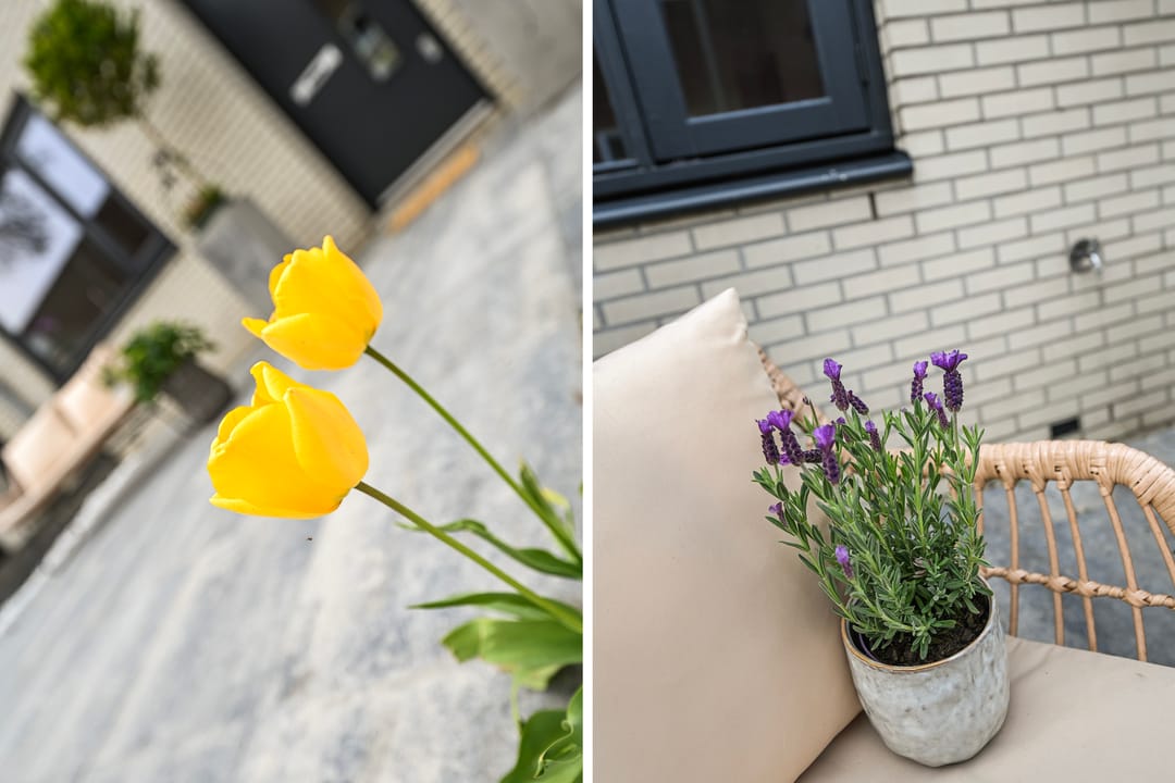 Photo 47 of Kuifduikerstraat 11