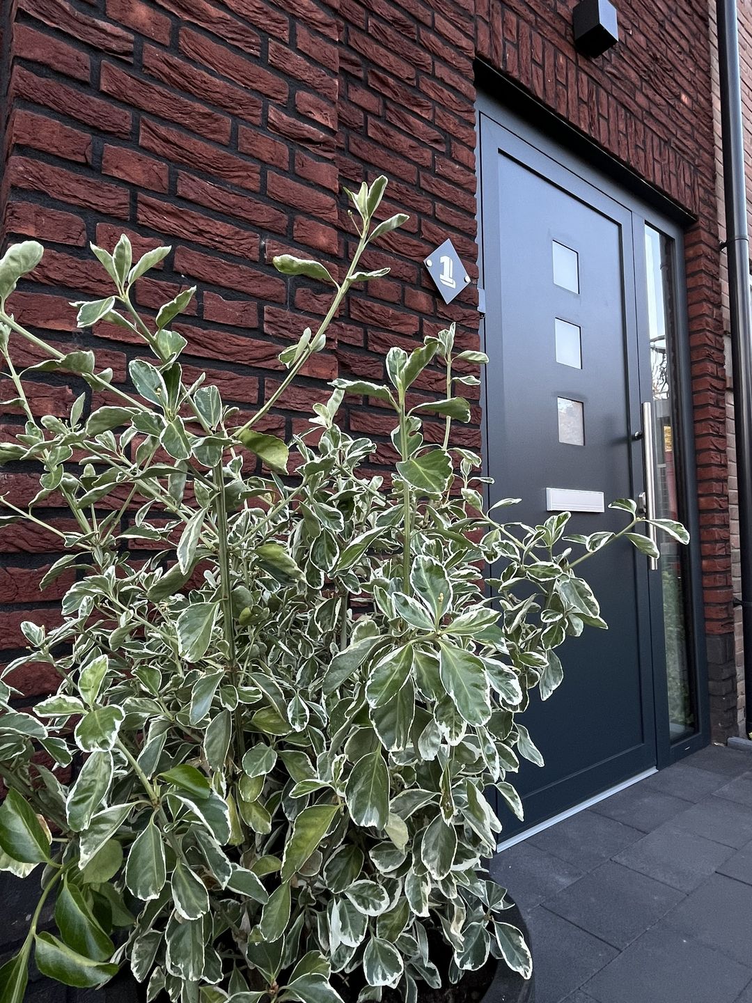 Foto 41 van Prinses Marijkeweg 1
