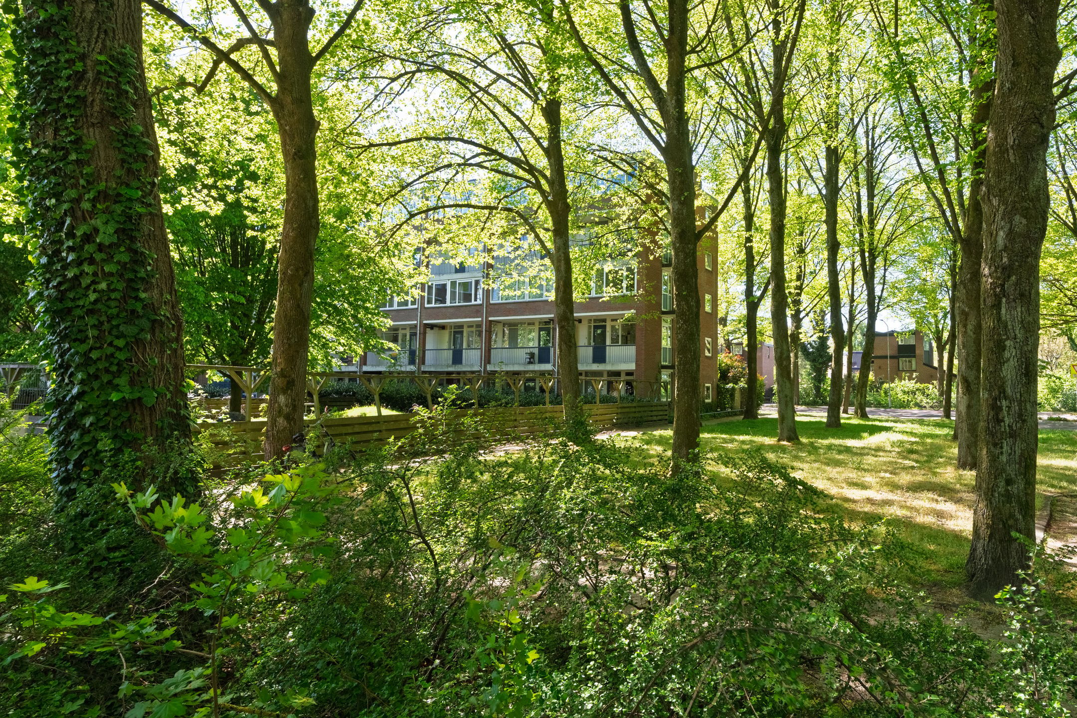 Photo 30 of Van 't Hoffstraat 71
