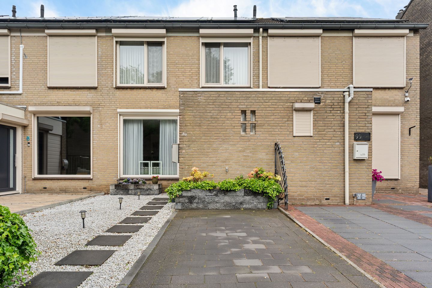 Foto 1 van Goudplevier 101