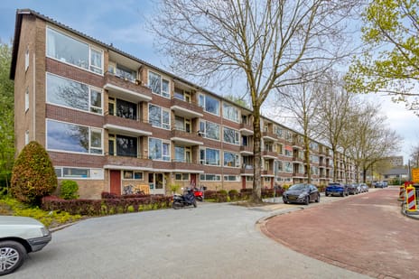 Duindoornstraat thumbnail