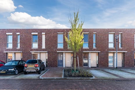 Katoenstraat thumbnail