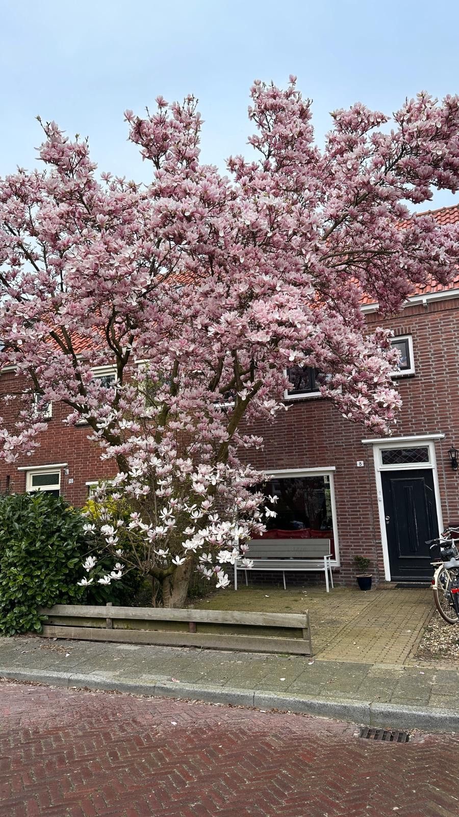 Foto 45 van Johan de Wittstraat 8