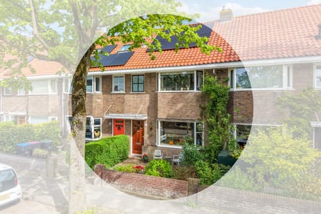 Gerard Terborchstraat thumbnail