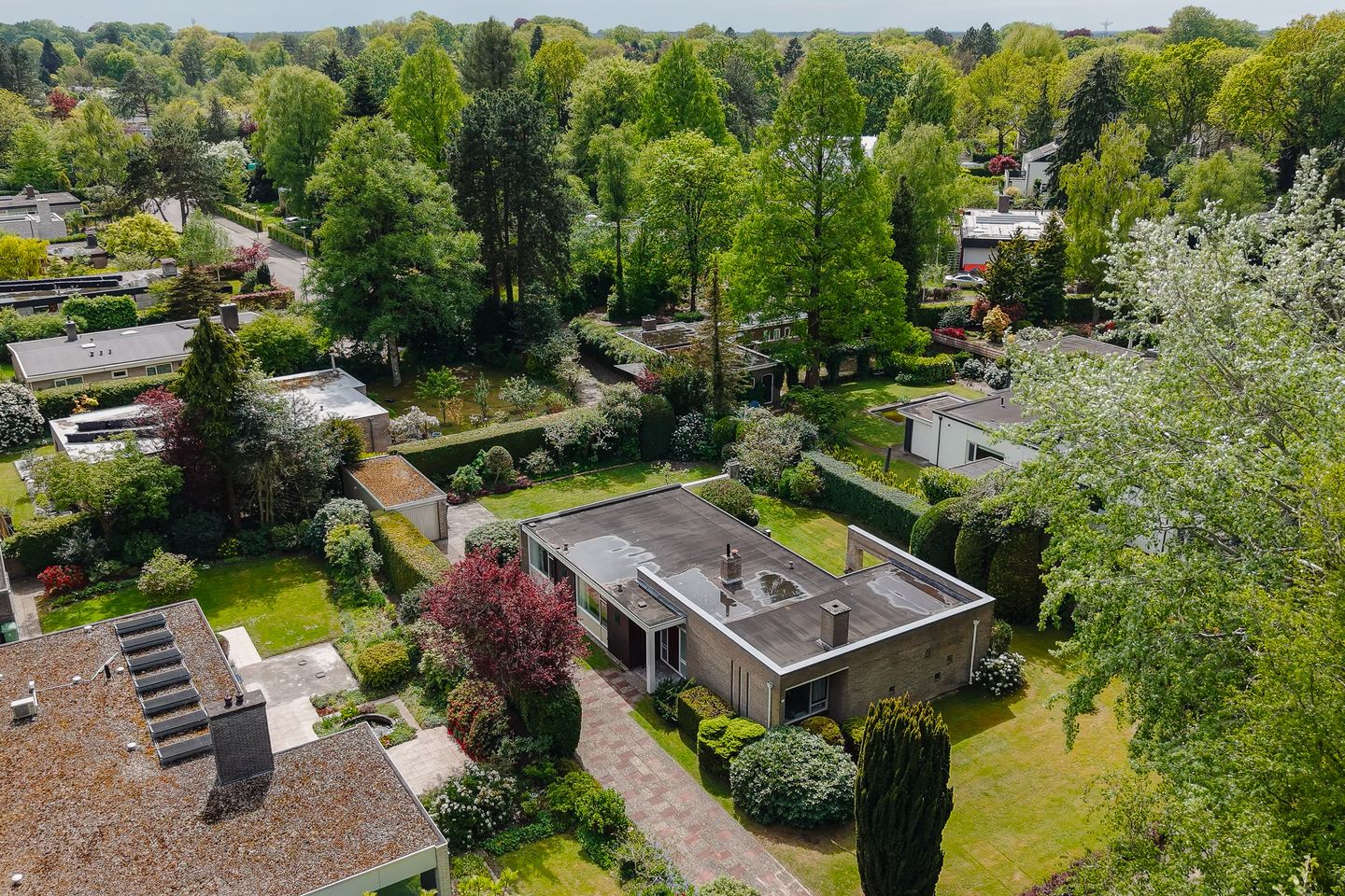 Photo 64 of Cort van der Lindenlaan 7