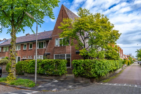 Paulus Potterstraat thumbnail