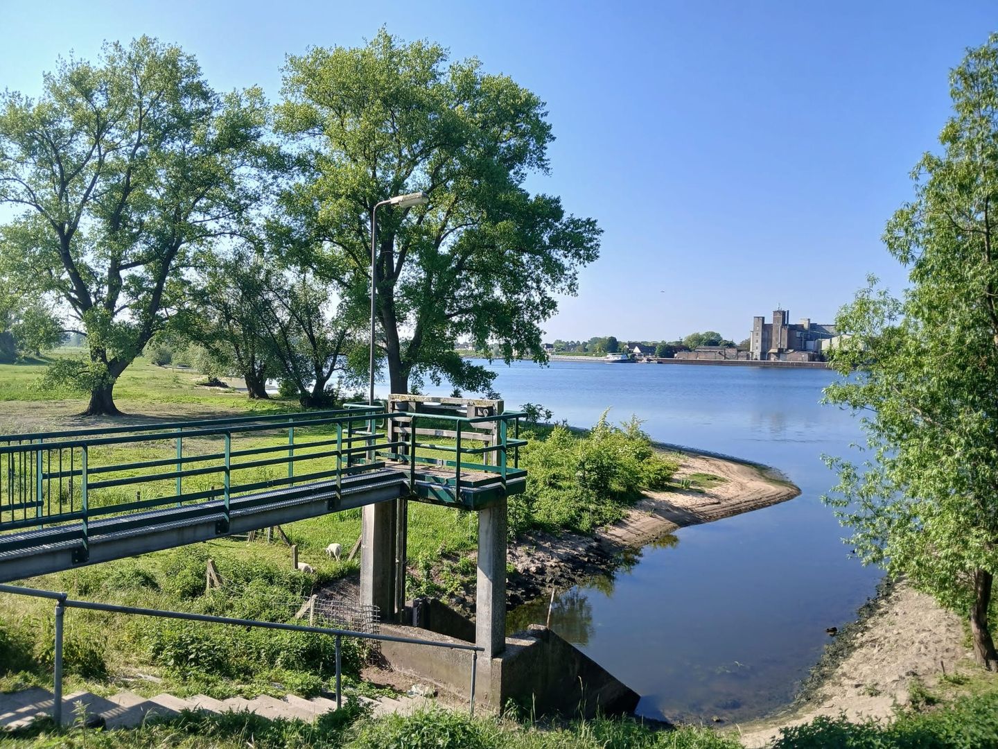 Foto 1 van Maasdijk
