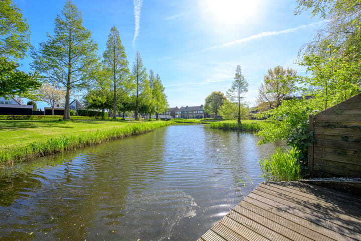 Foto 5 van Hoornblad 5