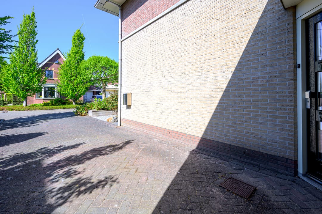 Foto 43 van Hoornblad 5
