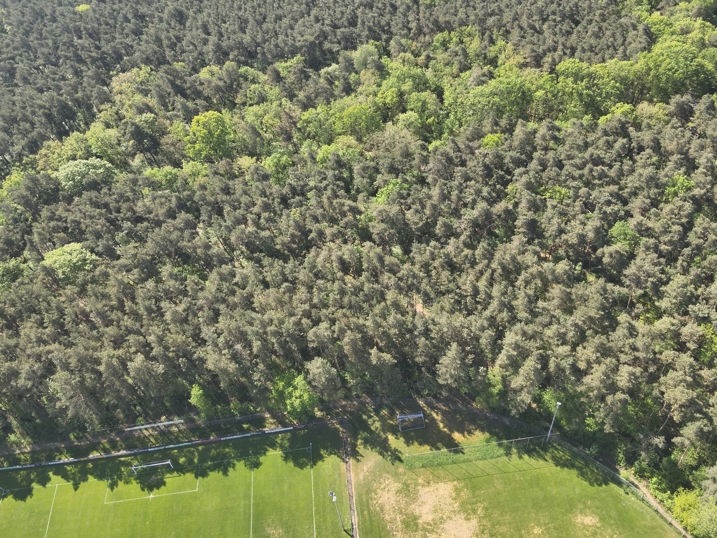 Bekijk foto 5 van Elburgerweg