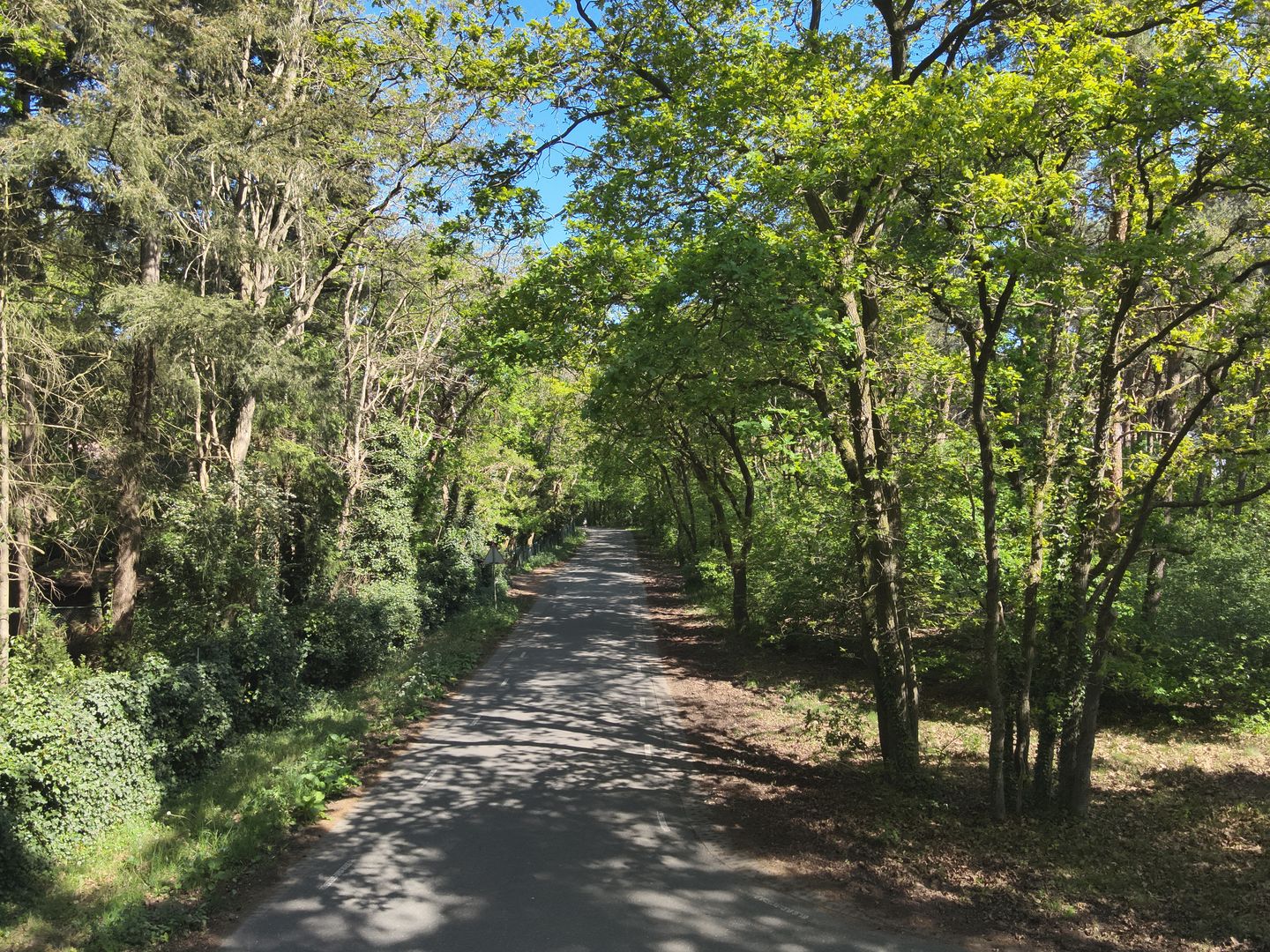 Elburgerweg - Hattemerbroek - Afbeelding 7