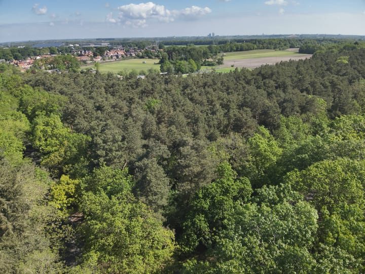 Elburgerweg, Hattemerbroek