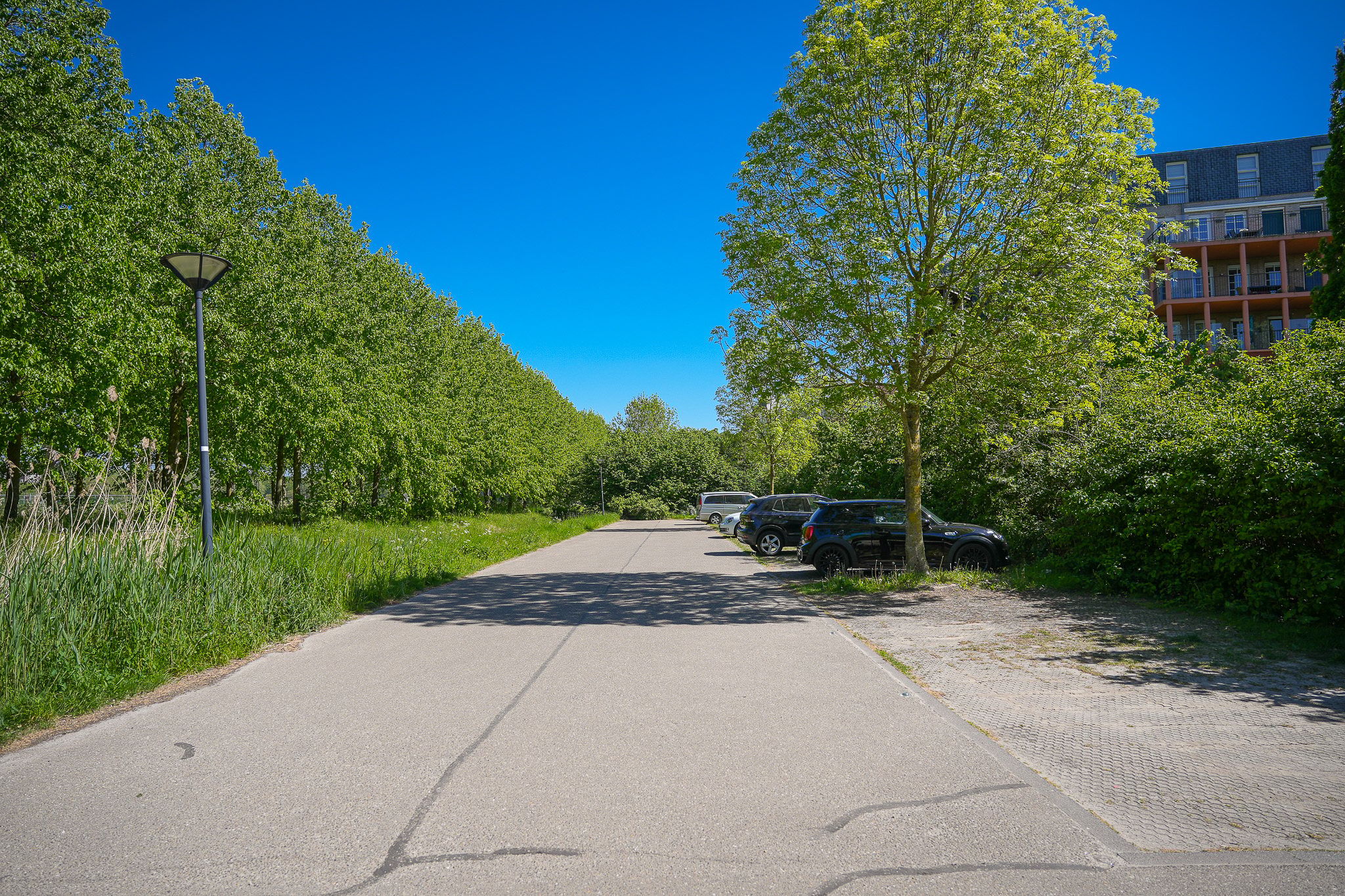 Photo 60 of Holterveste 12