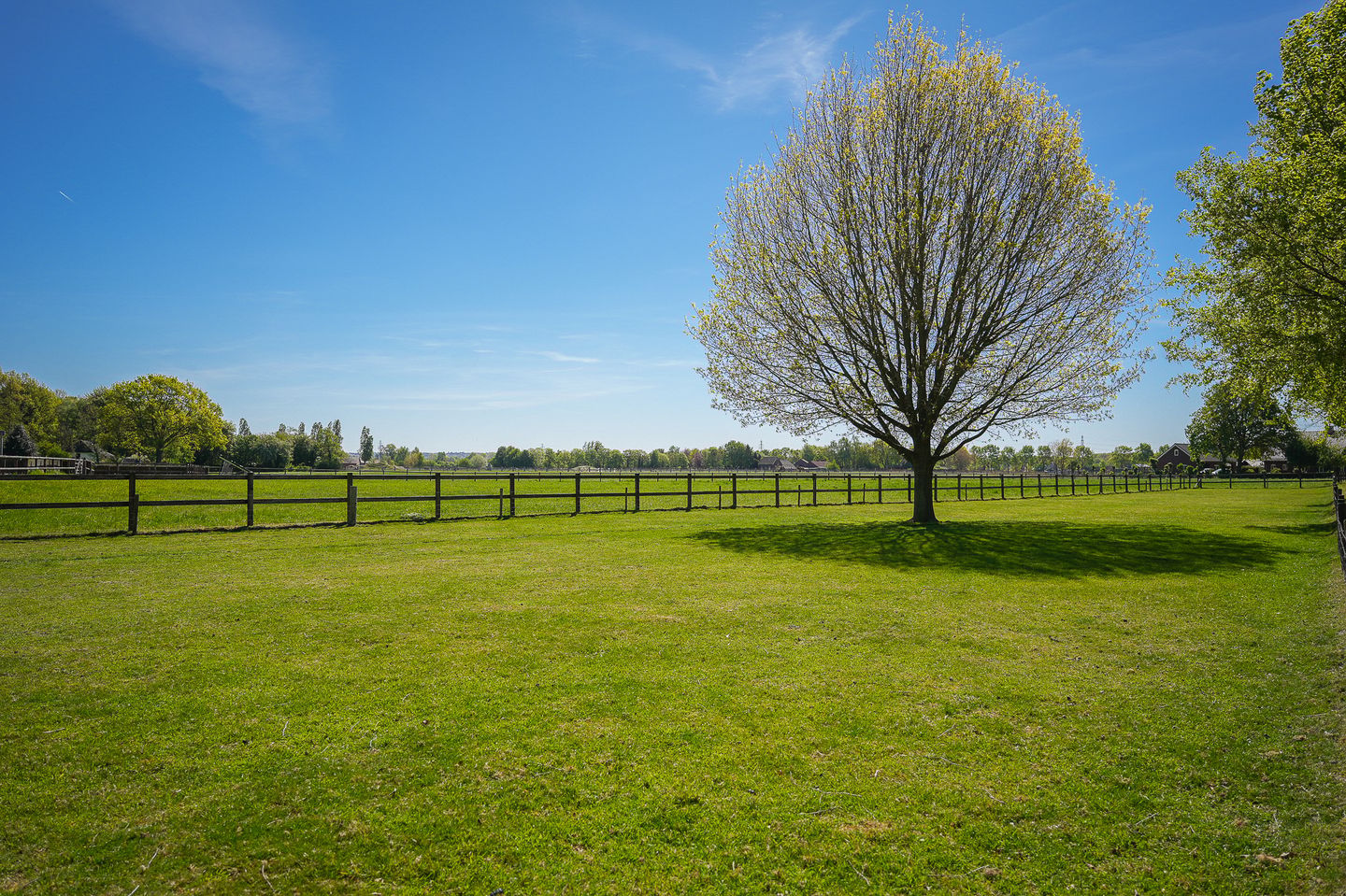 Photo 59 of Oldegoorweg 24