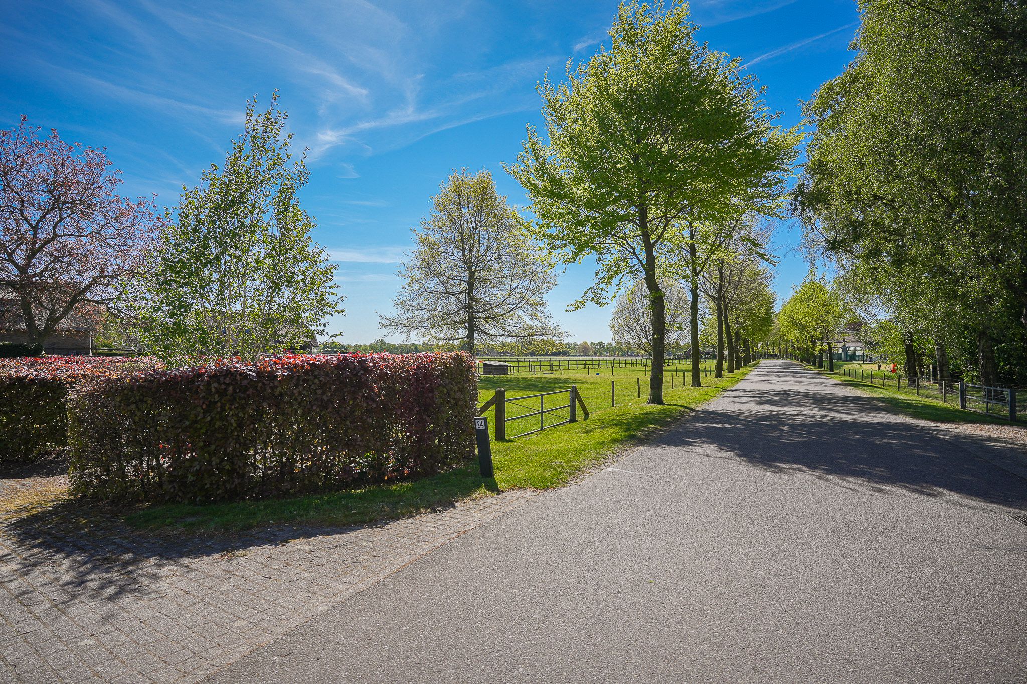 Photo 57 of Oldegoorweg 24