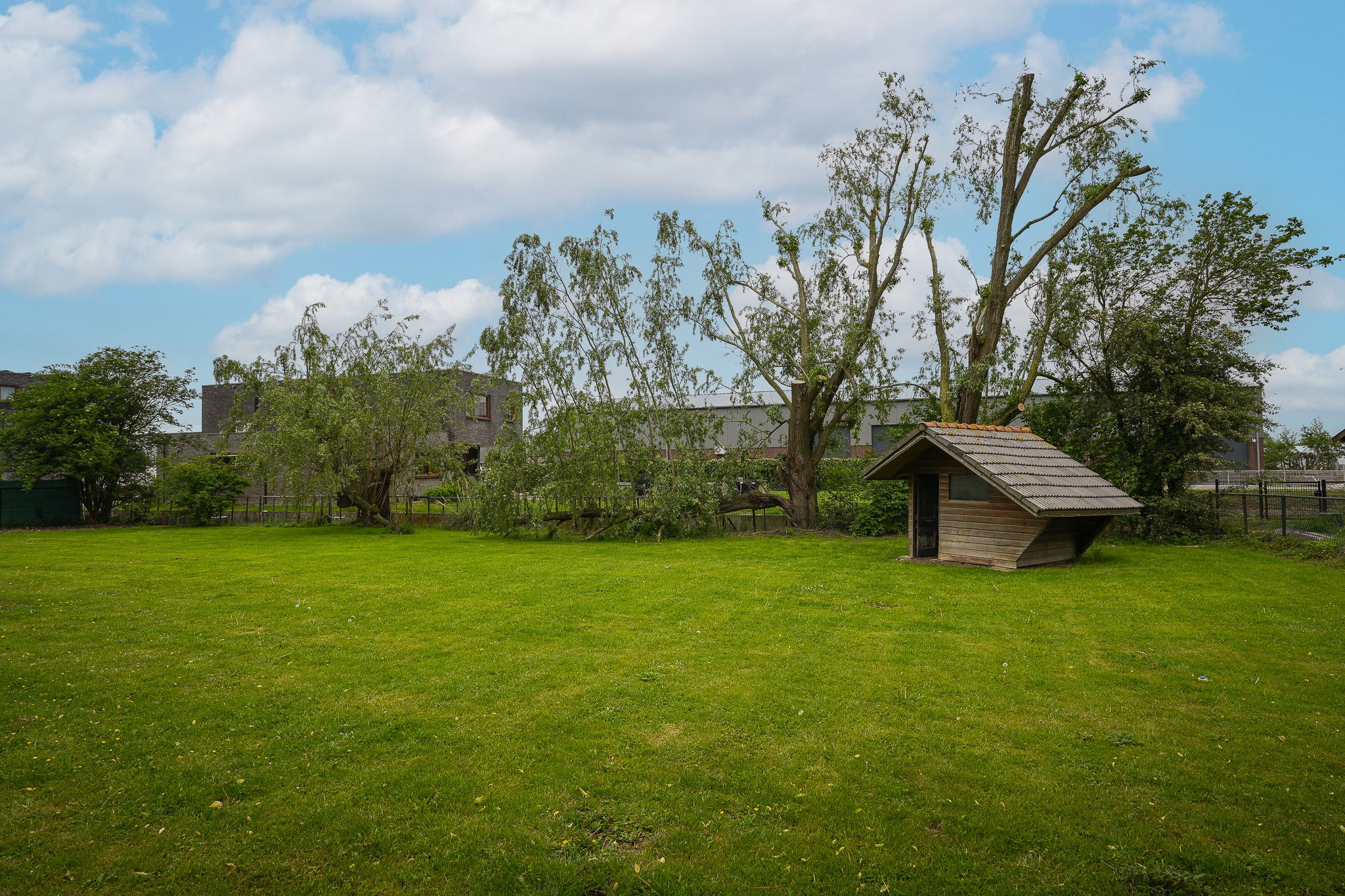 Live-Work Property with Generous Plot in Kerkdriel — 72