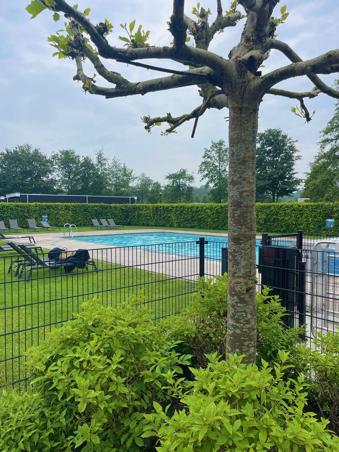 Photo 17 of Droompark Buitenhuizen 410