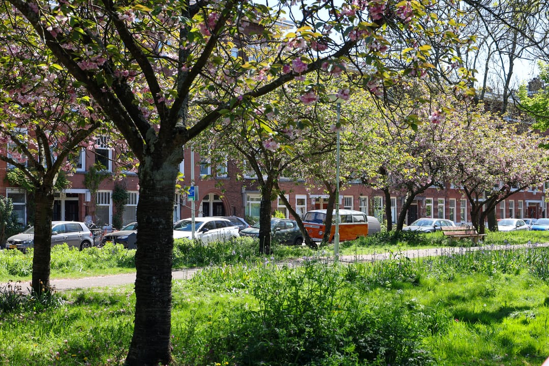 Foto 46 van Donker Curtiusstraat 20-B01
