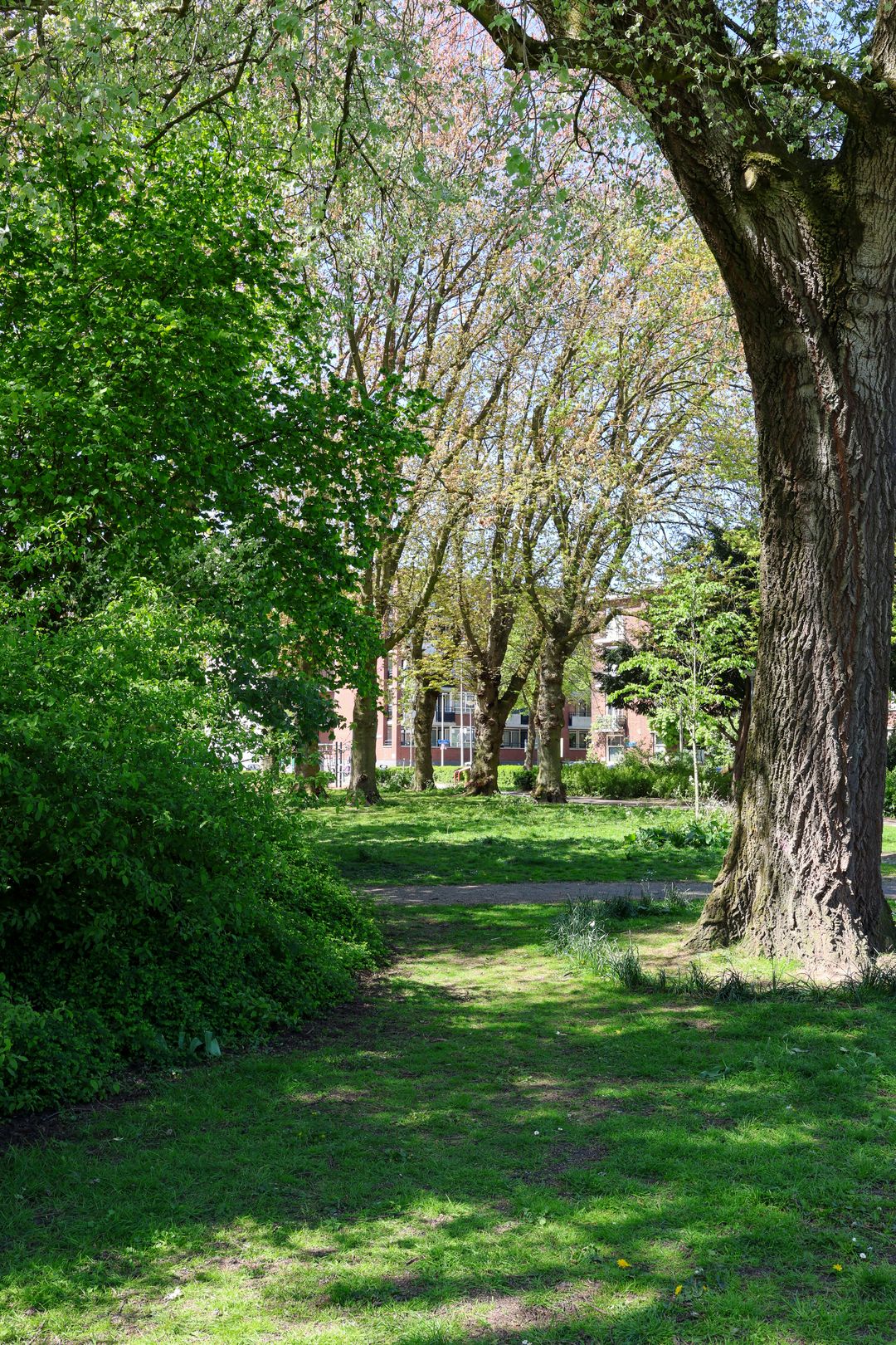 Foto 47 van Donker Curtiusstraat 20-B01