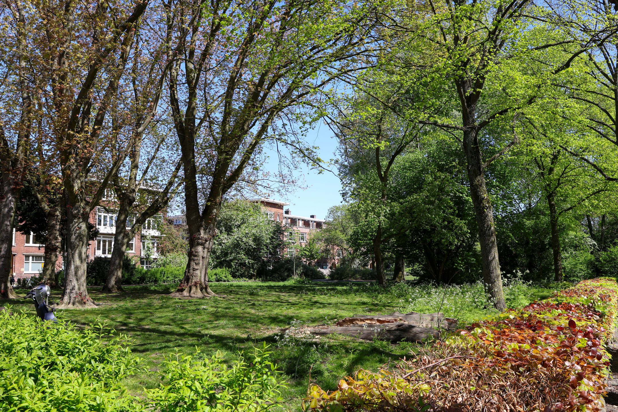 Foto 42 van Donker Curtiusstraat 20-B01