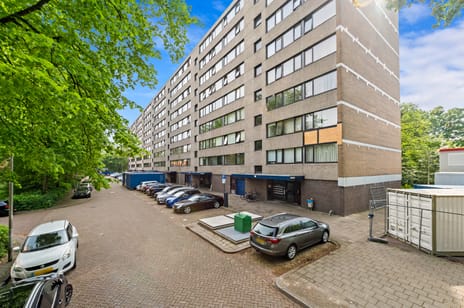Roland Holstlaan thumbnail